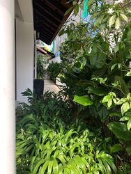 Shamrock Park (D10), Detached #471418491